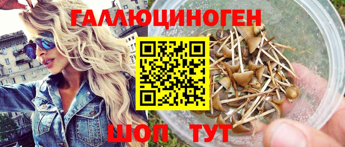 Череповец  Галлюциногенные грибы Magic Shrooms  Вход с VPN 